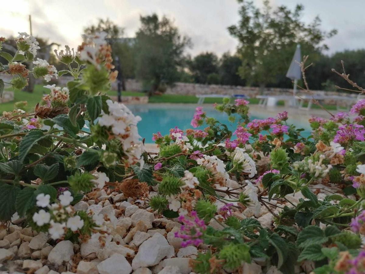 Casale dolina verde Ostuni Esterno foto